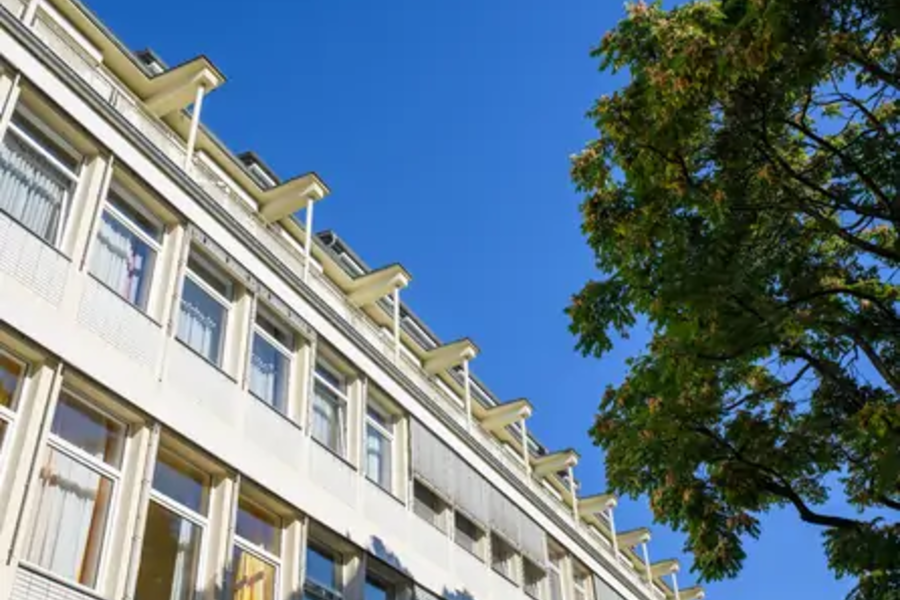 Blick auf die Fassade eines mehrstöckigen Bürogebäudes mit vielen Fenstern und einem Baum im Vordergrund