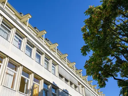 Blick auf die Fassade eines mehrstöckigen Bürogebäudes mit vielen Fenstern und einem Baum im Vordergrund